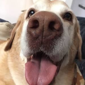 Meet your Posher, Sue